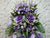 Purple Prosperity Opening Flower - OP048