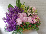 Spectacular Lily & Orchid Mix Flower Basket- BK782