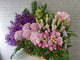 pure seed bk782 mokara orchids + eustomas + hydrangeas + lilies + berries flower basket