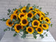 pure seed bk787 30 sunflowers with eucalyptus leaves flower box
