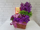 pure seed nb101 + Orchids and Roses, with 1 bottle of D.O.M. + new born arrangement