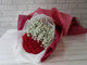 pure seed bq731 + Carnations with baby breath + hand bouquet