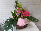 Fruit & Flower - FR057