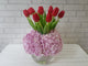 Bright Crimson Tulip in Vase - VS055