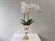 Elegant Phalaenopsis Orchid Vase - VS057