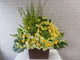 pure seed bk849 snap dragon + roses + eustomas + orchids + hydrangeas basket flower arrangement