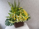 Mix Bright Rose Flower Basket - BK849