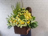Mix Bright Rose Flower Basket - BK849