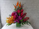 pure seed vs059 +  Bird of Paradise, Ginger Flower & Orchids + vase arrangement