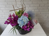 Orchid Mix & Fruit - FR156