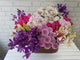 pure seed bk841 hydrangeas + lilies + roses + orchids + cymbidiums + ping pongs flower basket