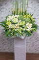 pureseed sy137 + Hydrangea, Brassica, Gerbera, Orchid, Tuberose and Chrysanthemum Ping Pong. + sympathy stand