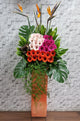 pure seed op046 + erberas and Bird of Paradise flowers. + opening stand