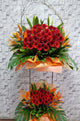 pure seed op060 + Gerberas and Bird of Paradise flowers + opening stand