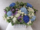 Huge Hydrangeas & Eustoma Flower Basket - BK565