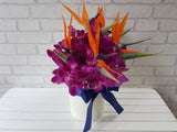 Mokara Orchid Flower Box - BK870