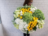 Magnificent Hydrangeas & Rose Flower Box -BK553
