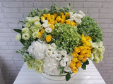 Magnificent Hydrangeas & Rose Flower Box -BK553