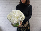 Mix Baby Breath & Hydrangeas Vase - VS066