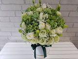 Green Hydrangeas & Eustoma Box - BK888