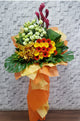 pure seed op066 +  gerberas, orchids, eustomas, ginger flower + opening stand