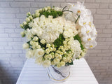 Majestic Rose & Phalaenopsis Flower Box - BK890