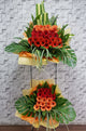 pure seed op197 + 2 tier stand + colorful gerberas + opening stand