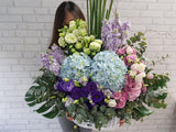Grace Matthiola & Hydrangea Flower Basket - BK924