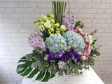 Grace Matthiola & Hydrangea Flower Basket - BK924