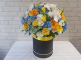 Harmony Gerbera Hydrangea Flower Box - BK932