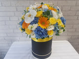 Harmony Gerbera Hydrangea Flower Box - BK932