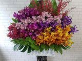 Flamboyant Orchid & Cymbidium Basket - BK518