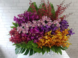 Flamboyant Orchid & Cymbidium Basket - BK518