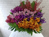 Flamboyant Orchid & Cymbidium Basket - BK518
