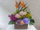 pure seed fr165 + Bird of Paradise, Hydrangeas, Cymbidiums, Orchids & Fresh Fruits  basket