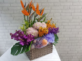 Fruit & Bird of Paradise - FR160