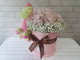 pure seed nb141 +  Hydrangeas and Baby's Breath with musical toy + new born arrangement