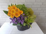 Fruit & Flower - FR144