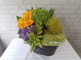 Fruit & Flower - FR144