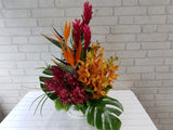 Orchid &  Bird of Paradise Flower Box-  BK971