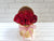 pure seed bk569 10 red roses with miniature pearl flower box