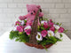 pure seed nb019 + eustomas, roses soft toy + new born arrangement