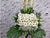 White Tribute Condolences Flower Stand - SY127