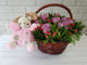 pure seed nb023 + roses, soft toy + new born arrangement