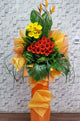 pure seed op071 + Gerberas and Bird of Paradise flowers + opening stand