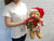 pureseed xm115 + Teddy Bear with posy bouquet + christmas collection