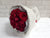 pure seed bq710 red roses hand bouquet with white tweed wrapper