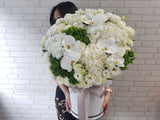 Memorable Hydrangeas Eustoma Flower Box -BK016