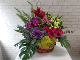 Fruit & Flower - FR169