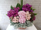 pure seed bk685 20 roses + 20 mokara orchids + 2 hydrangeas + sweet williams flower arrangement
